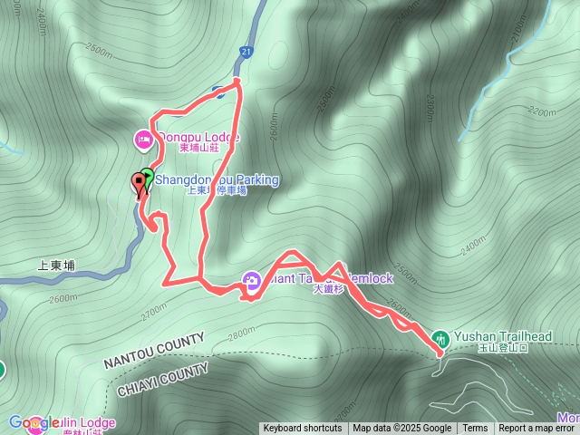 塔塔加大鐵杉登山步道