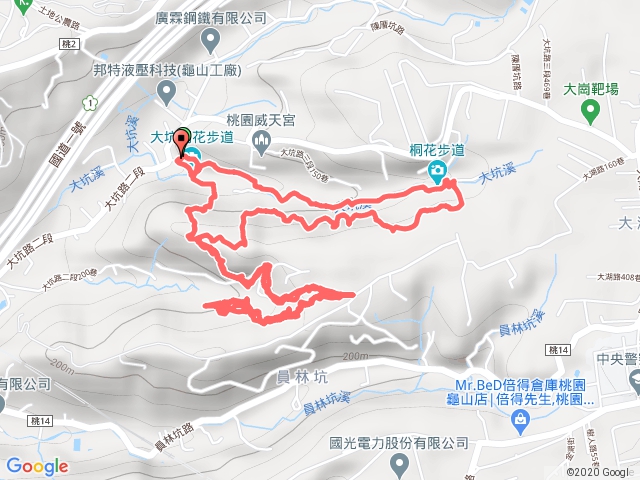 20200510大坑桐花步道