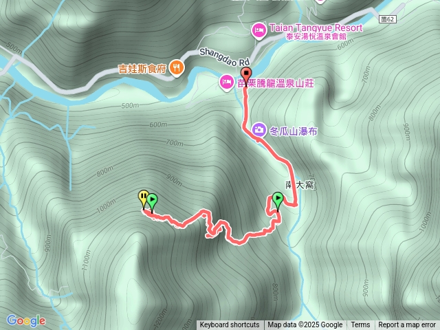 千年神木預覽圖