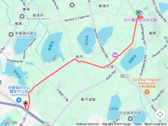 白千層鐵砲百合花園