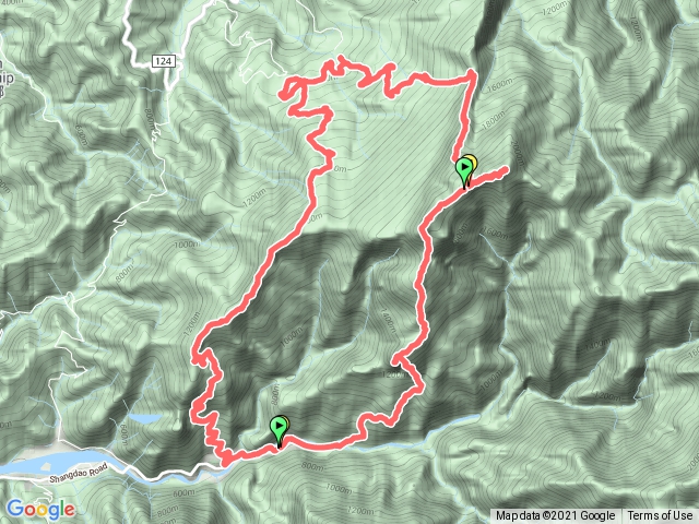 2022/02/16龍加虎O型蹤走