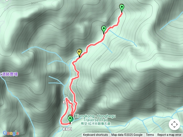 20250629熊空林道🦋預覽圖