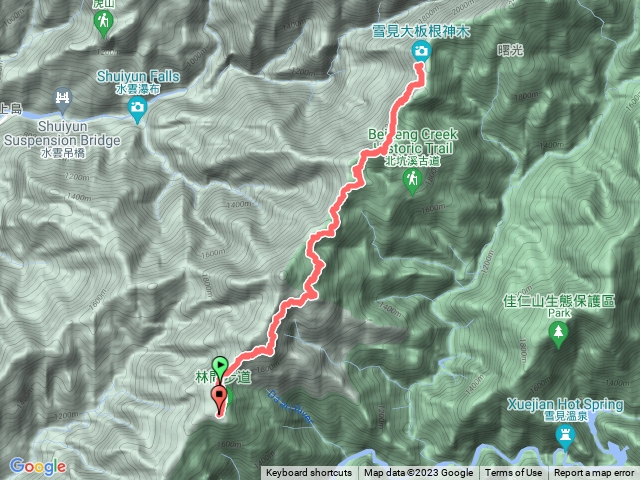 2023/8/12雪見大板根(木馬道來回)