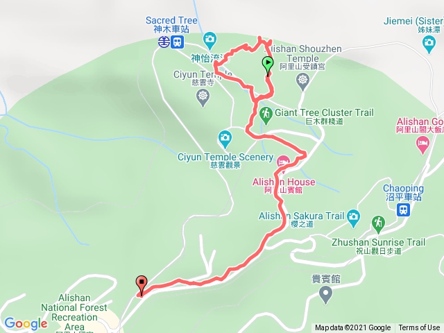 阿里山-巨木群林道