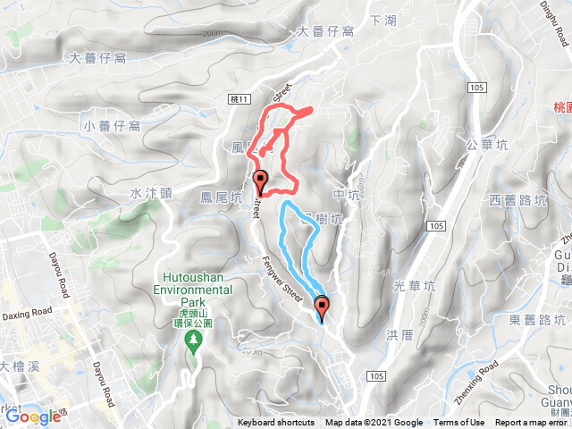 20210701桐花步道-楓樹坑山-0702生態步道