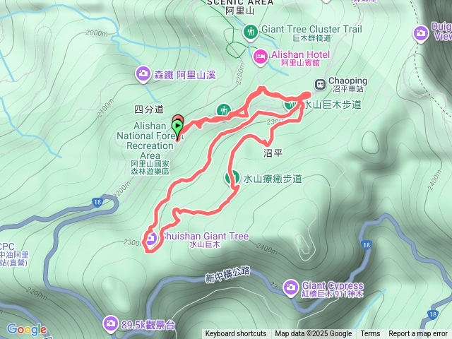 水山巨木步道水山療癒步道