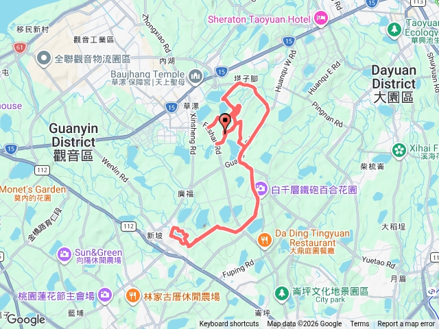 白千層預覽圖