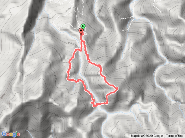哈坎尼山/加里山步道O型走