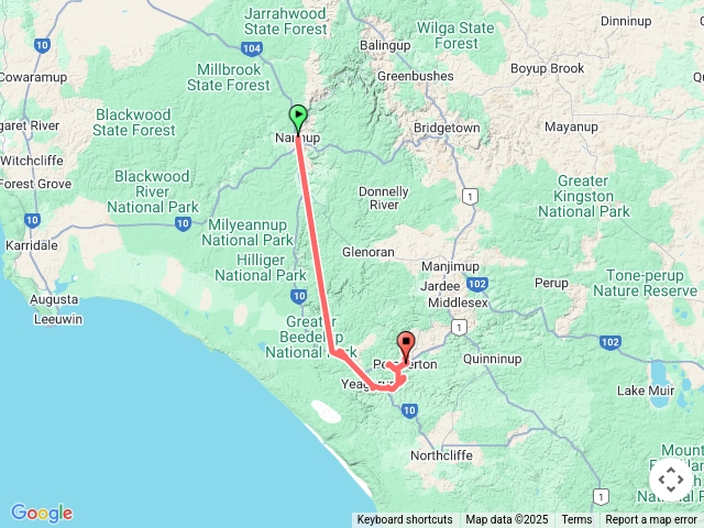 Greaternationalpark.巨木