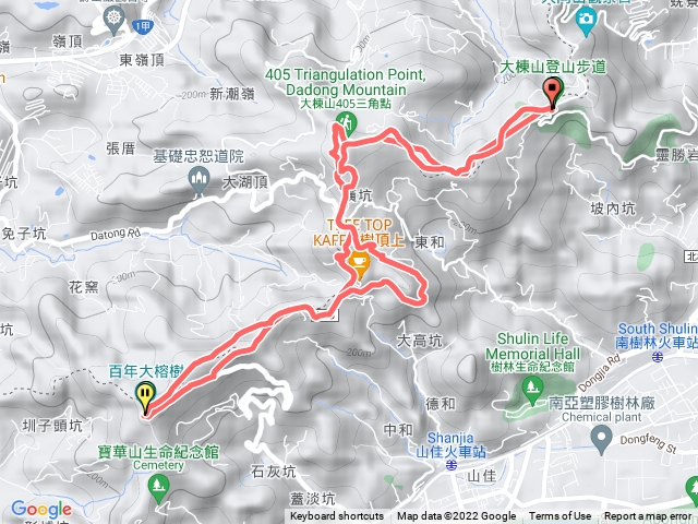 大棟山-百年大榕樹