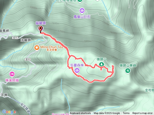 嶺頭山，忘憂森林
