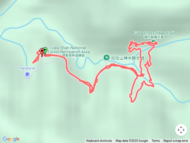 20250502拉拉山巨木步道