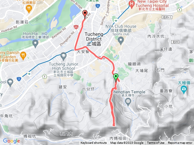 土城火焰山賞桐花