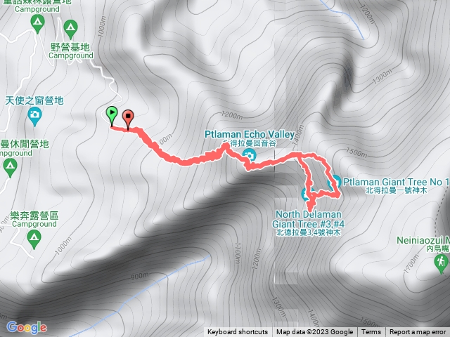 北得拉曼巨木群