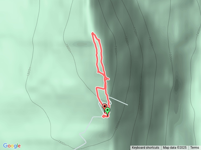 北疆 喀納斯保護區：觀魚台步道