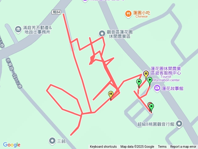 桃園觀音蓮花季-蓮饗樂園