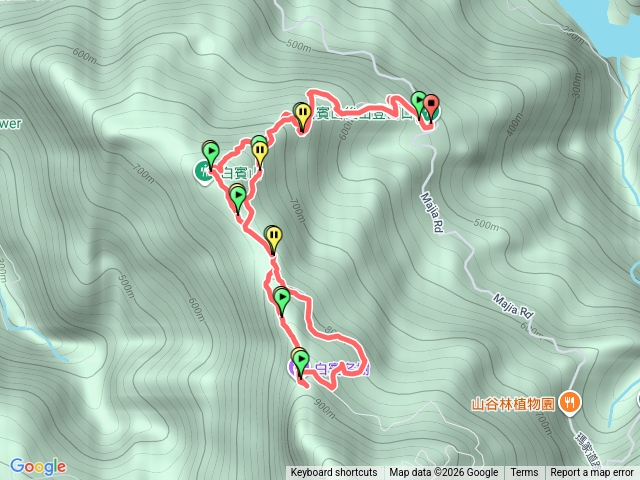白賓山名樹預覽圖