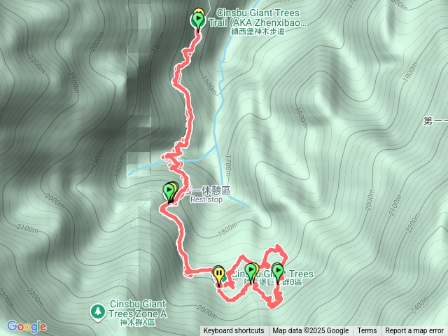 鎮西堡巨木群步道B區