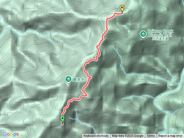 雪見北坑山大板根