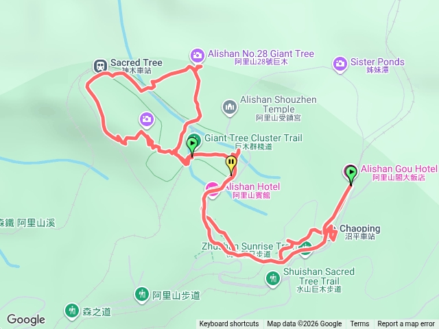 阿里山國家森林遊樂區巨木群步道預覽圖