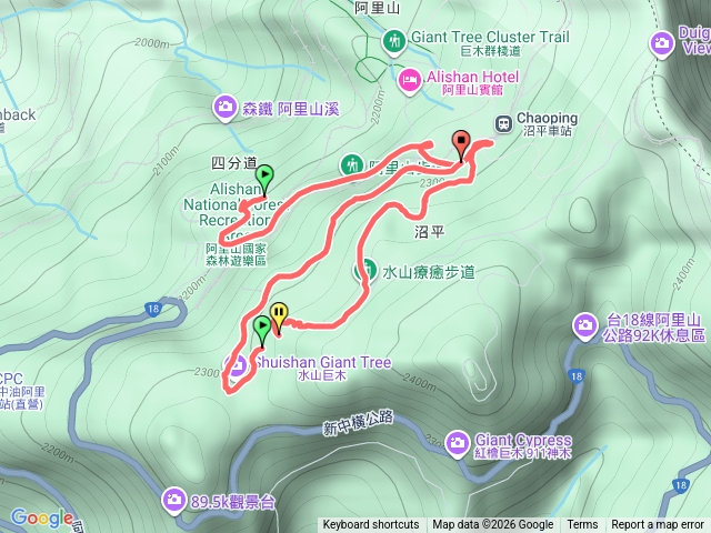 水山巨木預覽圖