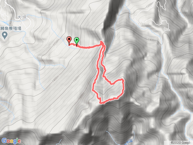 1090819加里山杜鵑嶺P走