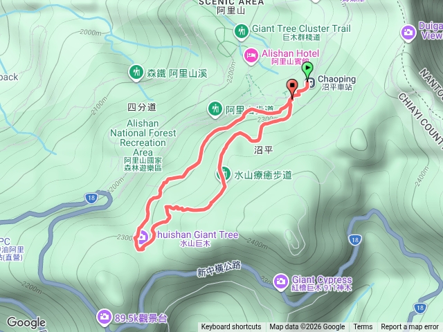 20260619 水山巨木步道預覽圖