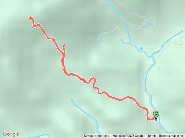 2025-12-19 週六砍不停先走 后番子坑-大平林山 探路