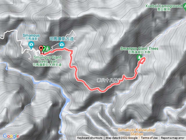 司馬庫斯巨木群登山步道