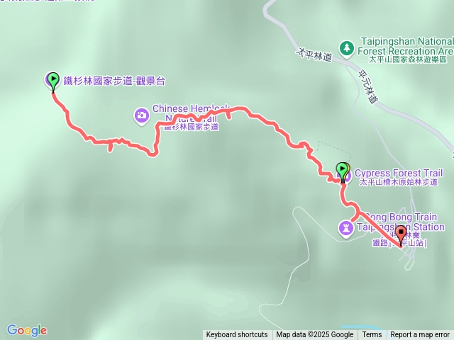 鐵杉林步道-下行