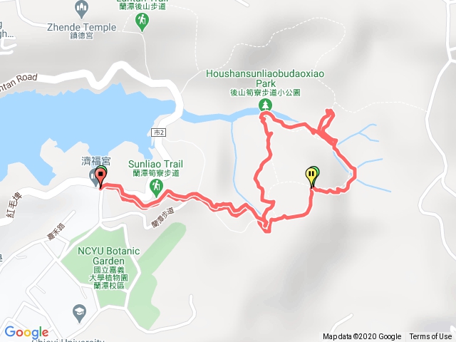 2020-12-19 桃花心木林