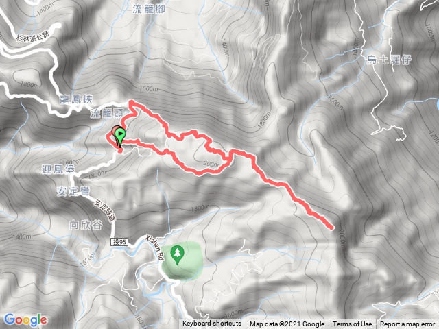 忘憂森林 金柑樹 領頭