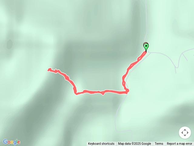 20250503宜蘭員山/掉堡坑登山口三針後山原路來回