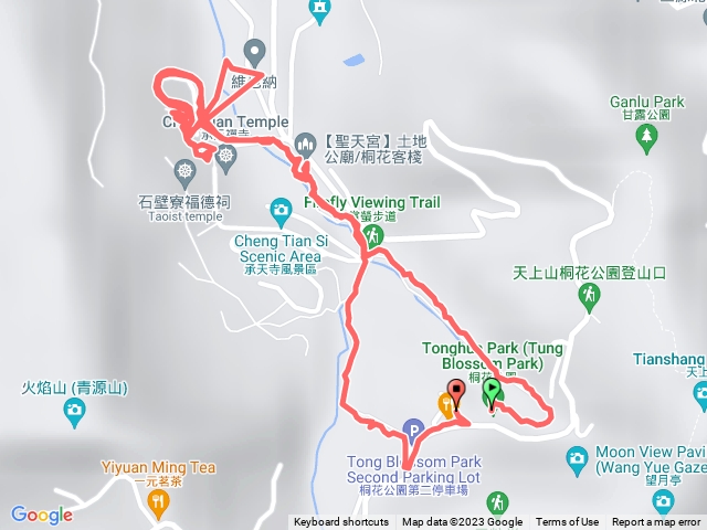 土城桐花公園步