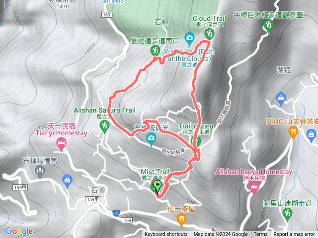 頂石棹步道-霧茶雲霞O型散步