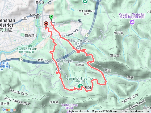 貓空樟樹步道魯冰花