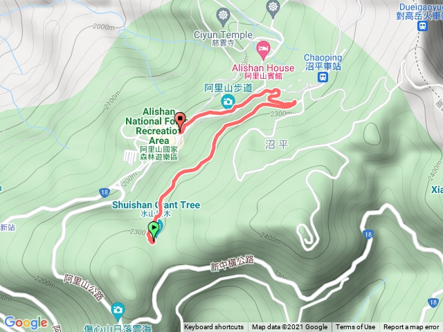 水山巨木