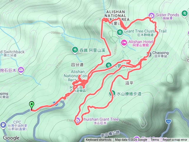 20261009阿里山水山巨木療癒步道預覽圖