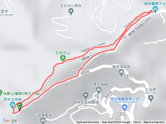 大榕樹 石灰坑山