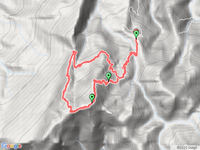 加里山杜鵑嶺O型走（鹿場登山口）