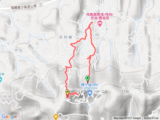 飛鳳山中坑山飛鳳園板根樹