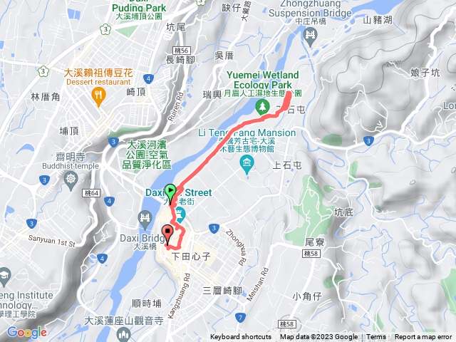 大溪月眉落羽松