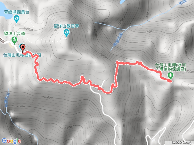 20200829有點累的山毛櫸步道