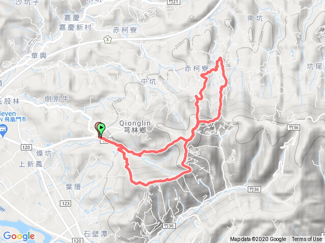 飛鳳山板根樹O型