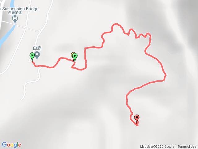 白毛⛰️虹橋-登山口的植物