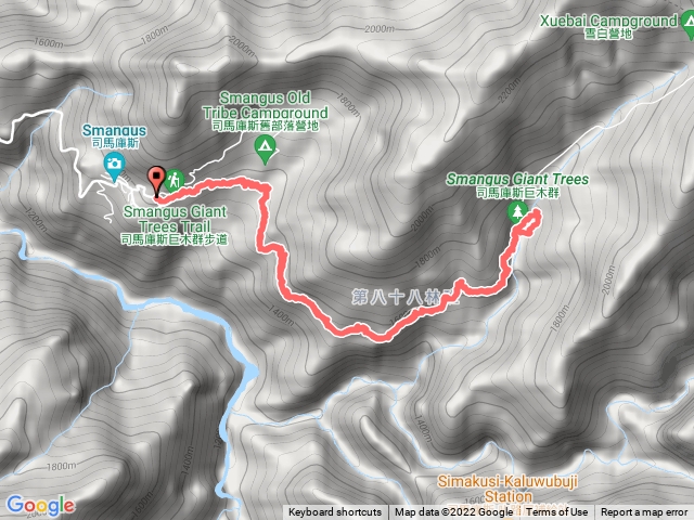 司馬庫斯巨木群步道