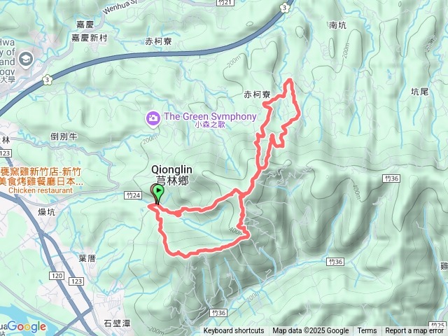 20250803飛鳳山板根8字