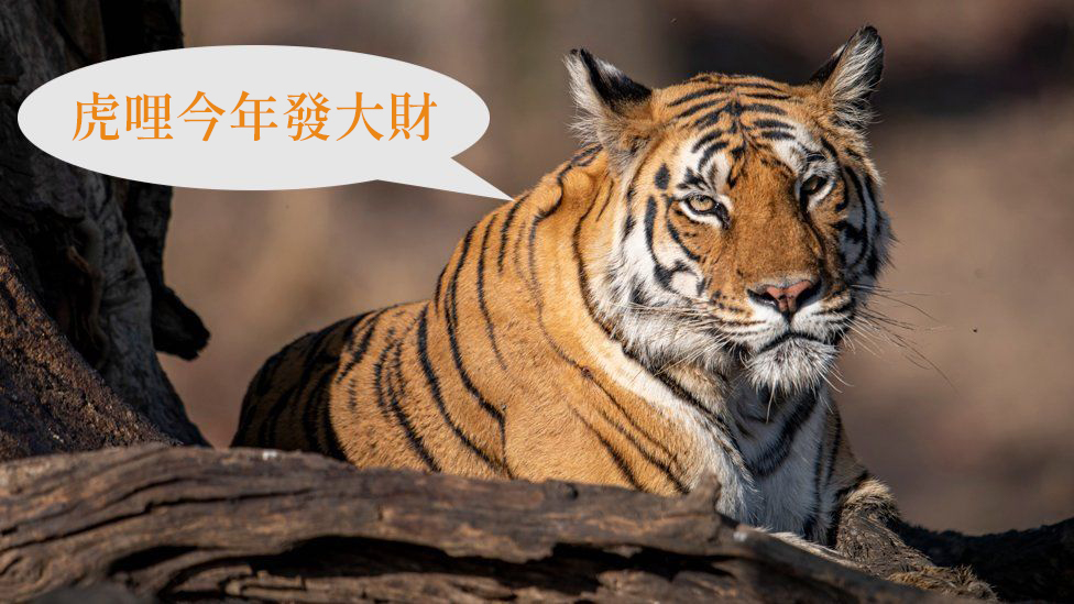 〖獲獎公告〗【活動】虎哩今年發大財!上傳跑步照 筆記送你紅包袋!
