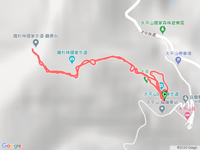 太平山檜木林鐵杉林