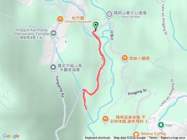 陽明山永公路500巷落羽松